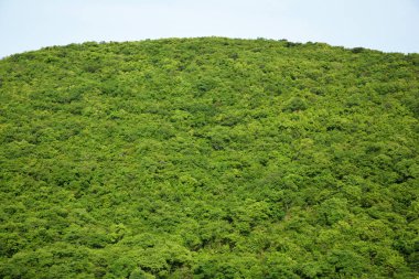 Yeşil Dağ Sırası, Tayland 