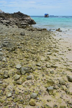 koh Larne Tayland yaz aylarında deniz manzarası 