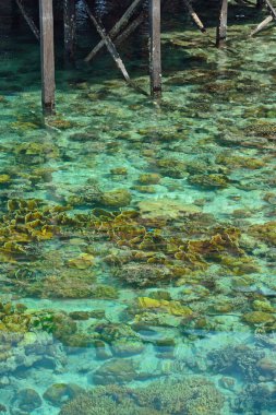 Sipadan Mabul Tatil Köyü - Malezya 