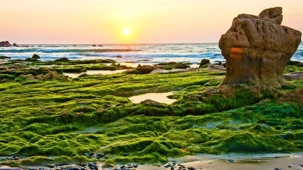 Paisagem Impressionante Com Musgo Verde Pedra Nascer Sol Praia — Fotografia de Stock