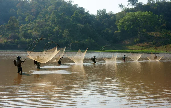People Catch Fish Lift Net Ditch — Stock Photo, Image
