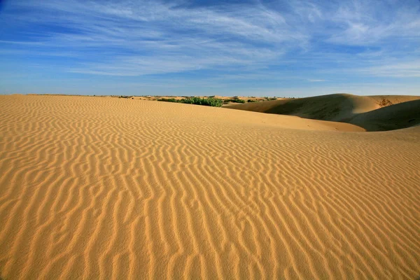 Sanddyner Landskap Solig Dag — Stockfoto