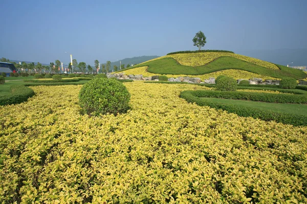 泰国清迈皇家植物区系世博 — 图库照片