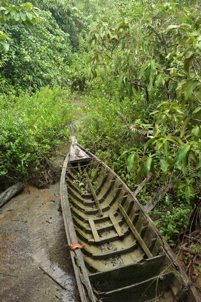 Vecchia Barca Nella Foresta Mangrovie Krabi Thailandia — Foto Stock