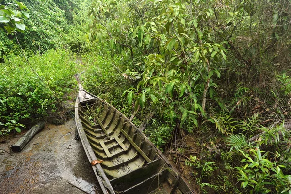 Vecchia Barca Nella Foresta Mangrovie Krabi Thailandia — Foto Stock