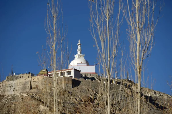 印度拉达克 克什米尔Leh的Shanti Stupa圣地 — 图库照片