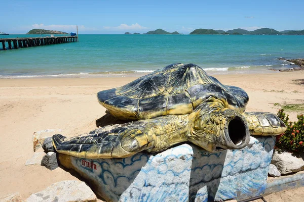 Chonburi 지방의 재미있는 거북이 — 스톡 사진
