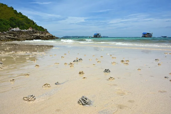 Krabbor Kontrollmärken Koh Larn Beach Pattaya Thailand — Stockfoto