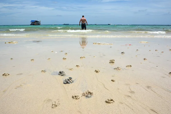 Crabs Health Marks Koh Larn Beach Pattaya Thailand — Fotografia de Stock