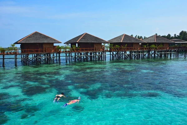 Snorkeling Turista Viver Oceano Ilha Mabul Malásia — Fotografia de Stock
