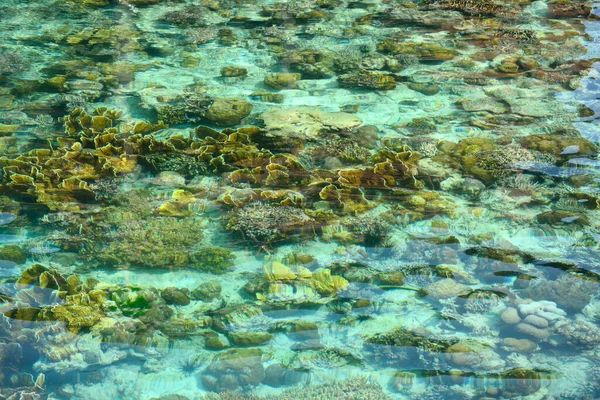 シバダンマブールリゾートのクリスタルクリア海 マレーシア — ストック写真