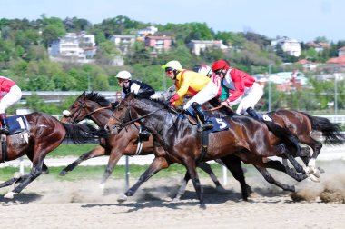 Sırbistan 'da at yarışı