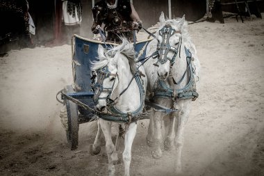 Arenada savaşan gladyatörler, Roma 'da at ve at arabaları