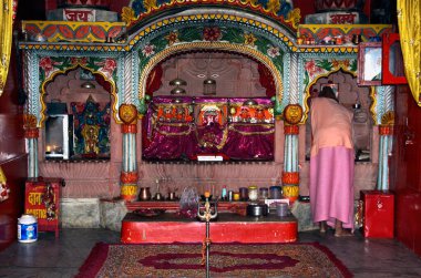 Rajasthan 'daki Pushkar Shaktipee' deki Tanrıların Önden Görünümü