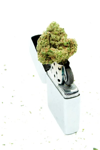 Marijuana Cannabis Fundo Branco — Fotografia de Stock