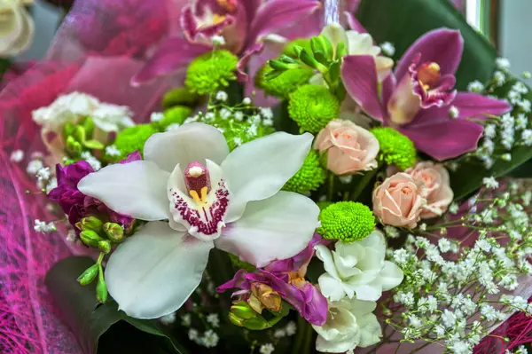 stock image close up view of beautiful blooming flowers