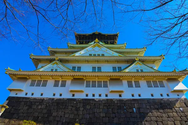 Hermosa Vista Del Castillo Osaka — Foto de Stock