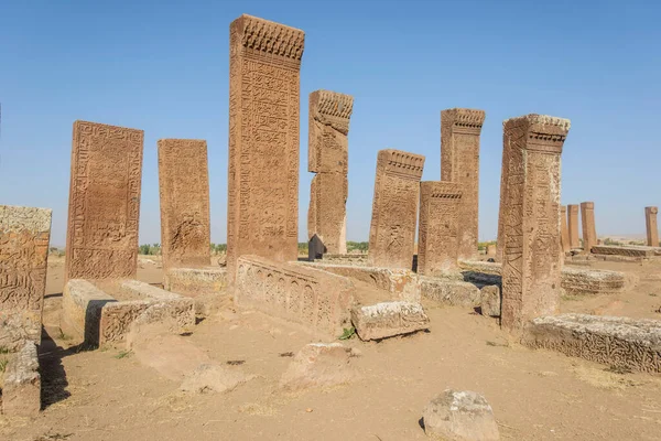 Ahlat トルコでセルジューク朝の墓石 — ストック写真