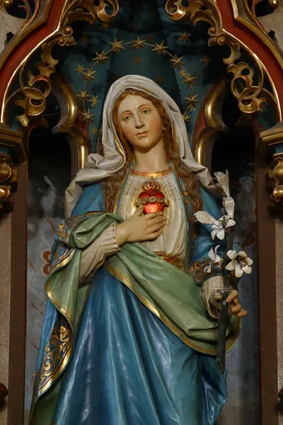 Kilisede Meryem Temiz Kalbi Heykeli — Stok fotoğraf