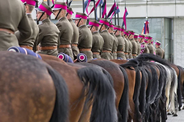 Tiro Dia Desfile Militar — Fotografia de Stock