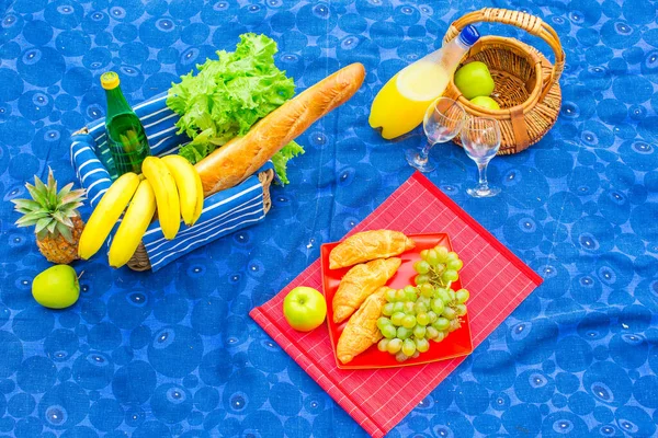Piknik Sepeti Meyve Ekmek Beyaz Şarap Ile — Stok fotoğraf