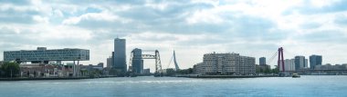 Rotterdam 'ın silueti ve sayısız köprüsü