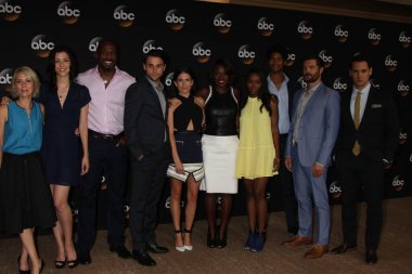 LOS ANGELES - 15 Temmuz 2014 TCA 'de Beverly Hills' te Liza Weil, Katie Findlay, Billy Brown, Jack Falahee, Karla Souza, Viola Davis, Aja Naomi King, Alfred Enoch 'tan nasıl kurtuluruz?