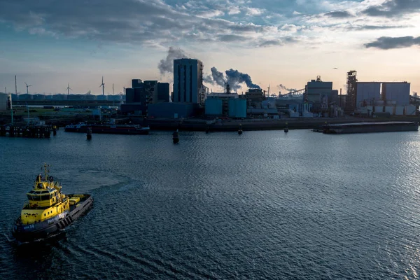 Puerto Rotterdam Barco Piloto Atardecer —  Fotos de Stock