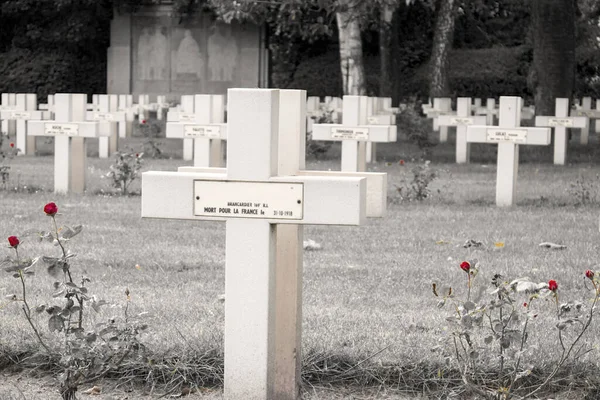 Red Roses Cross Cemetery World War One — Stock Photo, Image