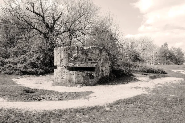 Bunker Pillbox First Wotld War Trench Death — Stock Photo, Image