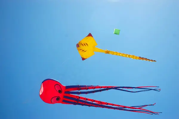 パンガンダラン国際凧祭り — ストック写真
