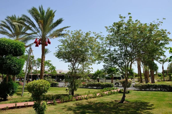 Hotel Sharm Sheikh South Sinay Juni 2014 — Stockfoto