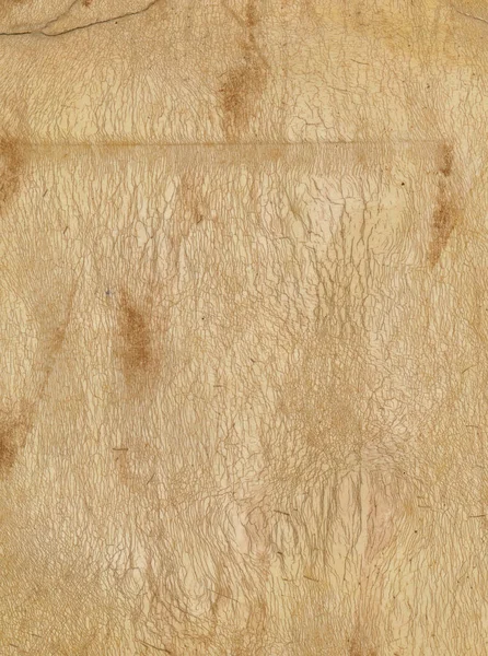 古代グランジ紙のページ シートの背景 — ストック写真