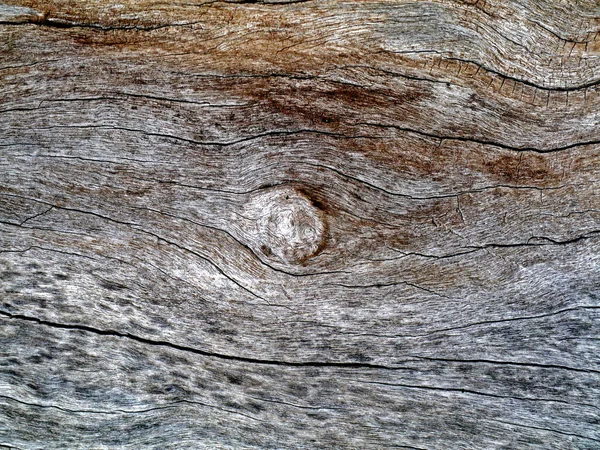 Абстрактный Творческий Фон Текстура Старого Мертвого Дерева — стоковое фото