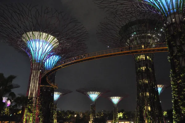 Supertree Grove Jardins Junto Baía Singapura — Fotografia de Stock