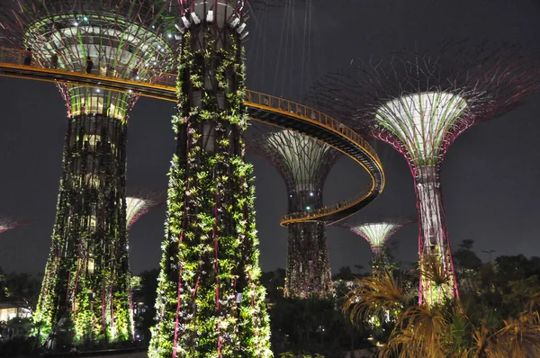 Supertree Grove Gardens Vid Viken Singapore — Stockfoto