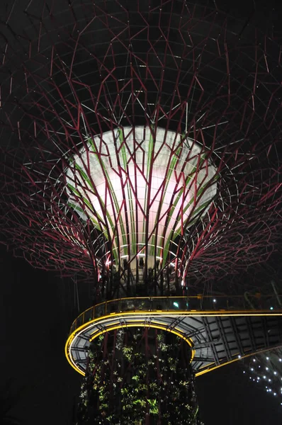 Grove Supertree Tuinen Langs Baai Singapore — Stockfoto