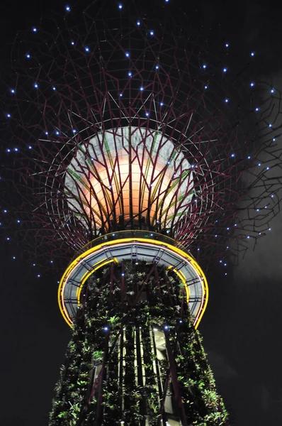 Supertree Grove Gardens Bay Singapur —  Fotos de Stock