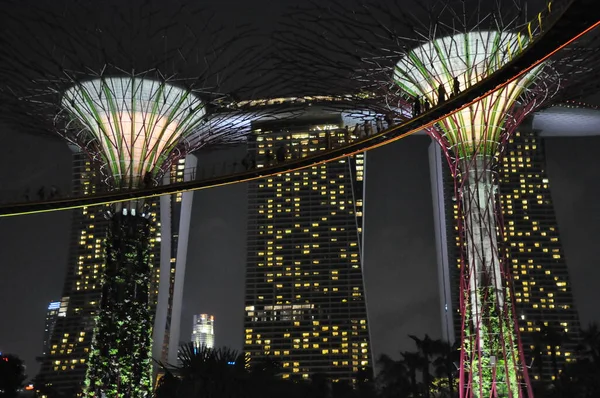 Der Superbaumhain Den Gärten Der Bucht Von Singapore — Stockfoto