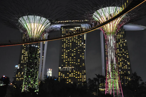 Gaj Supertree Ogrodach Nad Zatoką Mieście Singapur — Zdjęcie stockowe