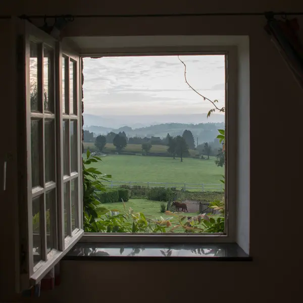 view from the window to a house