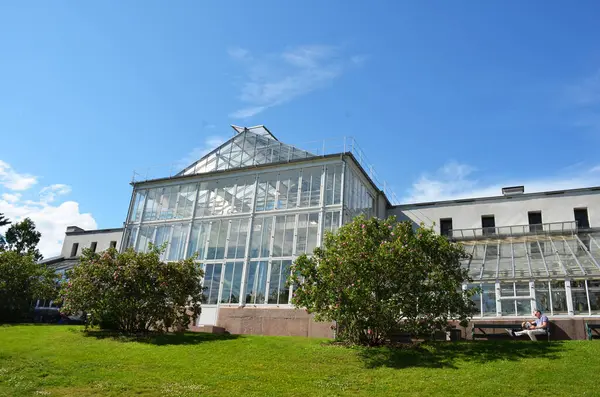 Greenhouse Oslo Botanical Garden — Stock Photo, Image