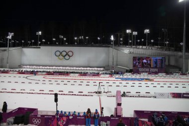 Soçi olimpiyat oyunları 