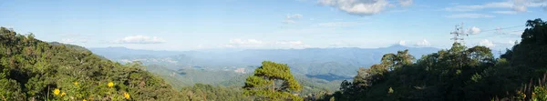 Panorama Orman Gökyüzü — Stok fotoğraf