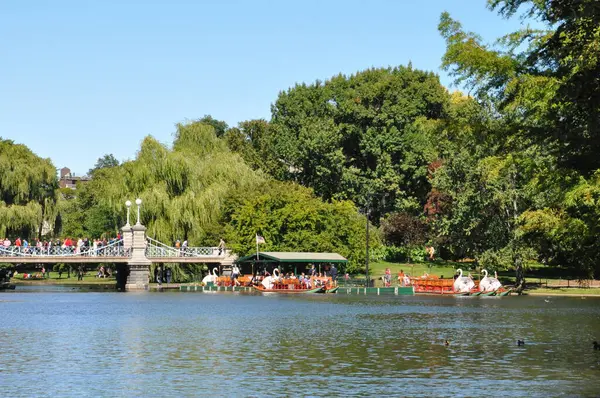 Barche Cigno Giardini Pubblici Boston — Foto Stock