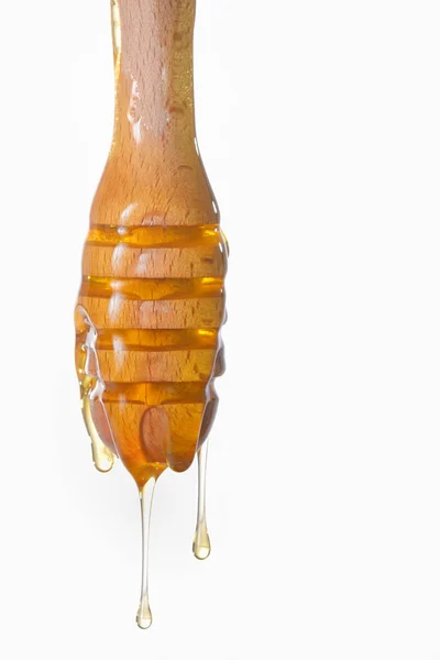 Honung Droppande Närbild — Stockfoto