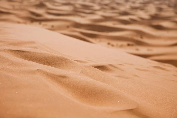 Пустынные Дюны Красочные Яркие Темы Путешествия — стоковое фото