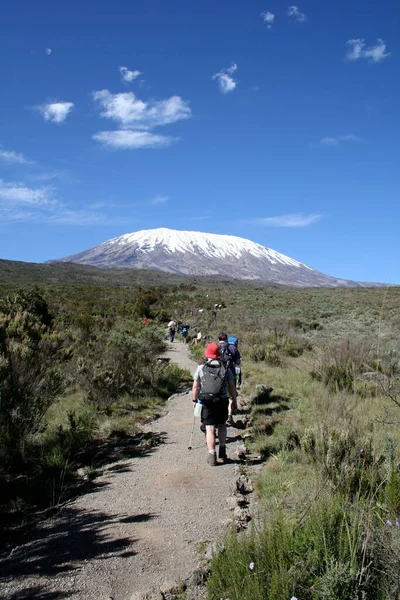 Kilimanjaro Вид Стороны Танзании — стоковое фото