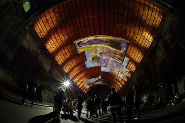 Meerkats Argyle Tunnel Het Levensverhaal Van Vivid Sydney — Stockfoto