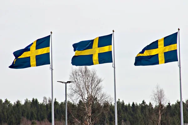 바람에 흔들리는 스웨덴 — 스톡 사진